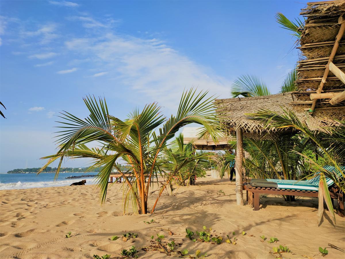 Asha Beach & Spa Tangalle Eksteriør bilde